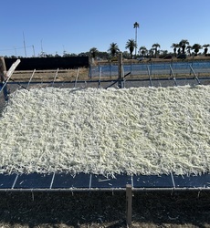 260122切干こだわり➂