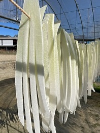 「割干し大根」の干し風景