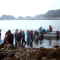 船で浜まで運搬 船で浜まで運搬